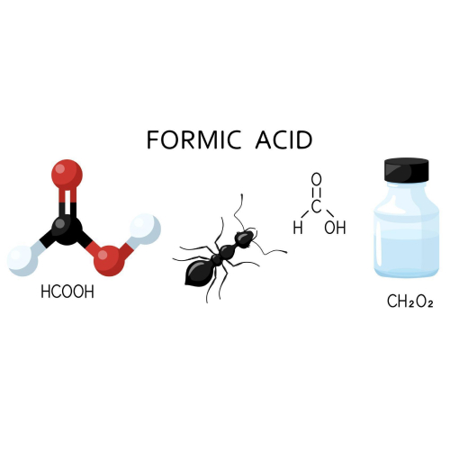 Муравьиная кислота